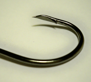 Fish360 Hook