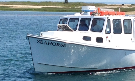 Fish360 Cuttyhunk Island 2012