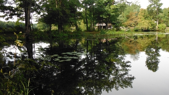 Fish360 Scouting Freshwater Hot Spots