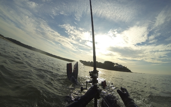 Fish360 Tusa Split Fins