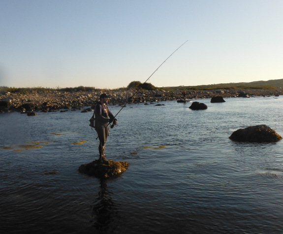 Fish360 Cuttyhunk 2014
