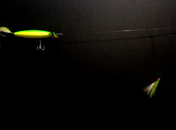 Fish360 Plug and Teaser