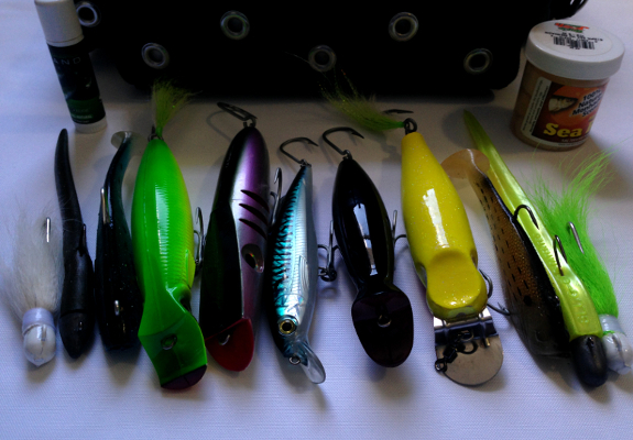 Fish360 Surfcasting The Water Column