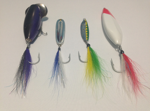 Fish360 Got Tail?