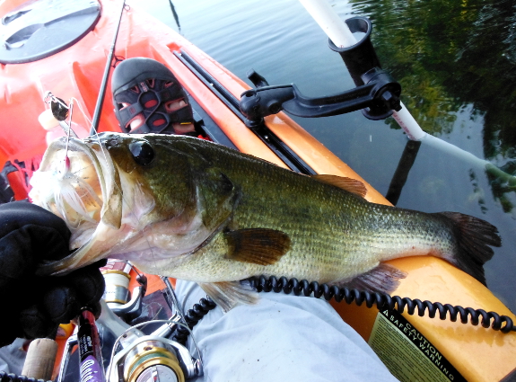 Fish360 Fish small, hook big