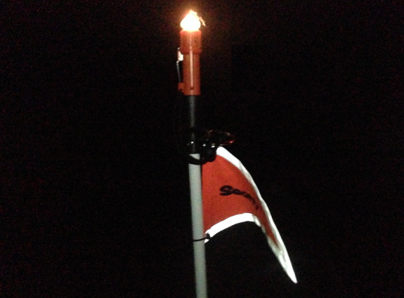 Fish360 Scotty Sea Light