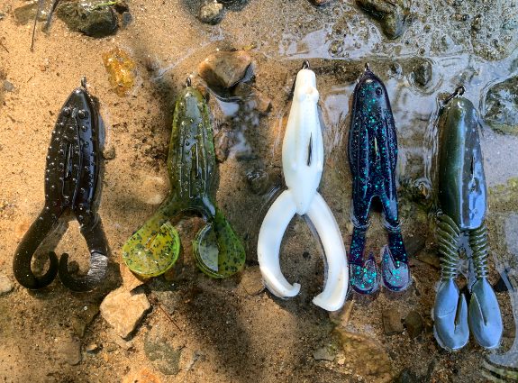 Fish360 Five Frog Challenge
