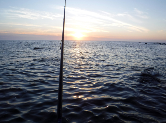Fish360 Cuttyhunk 2022