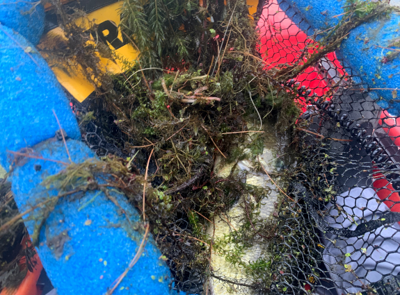 Fish360 DIY Frog Trailer Hook Field Test