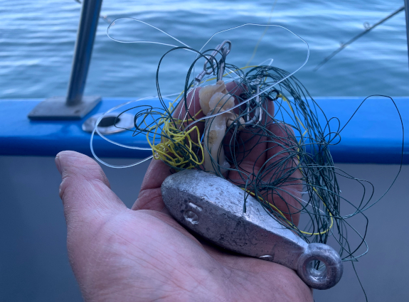 Fish360 Deep Sea Fishing with Friends