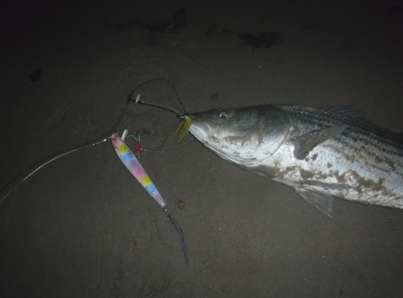 Fish360 Cuttyhunk 2025
